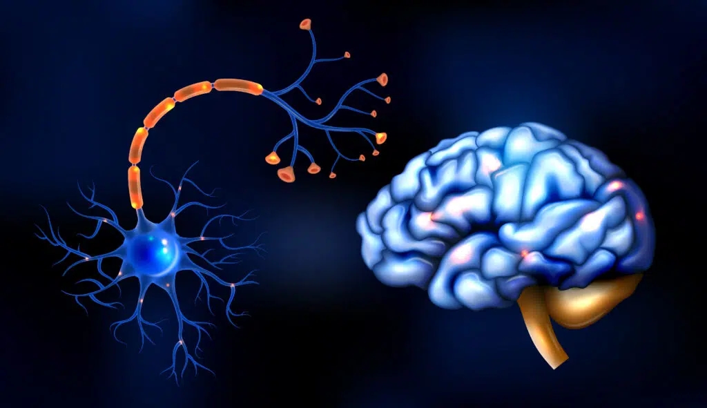 Neurologist For Pain Management
